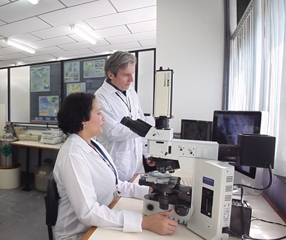 A d Estudos petrografia e inclusões fluidas desenvolvidos no Laboratório de Caracterização Mineralógica e Metalogenese do SETEM